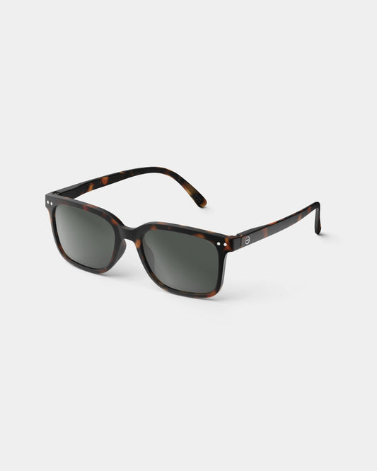 Sun #L Tortoise