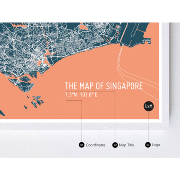 Singapore Map Navy Unframed