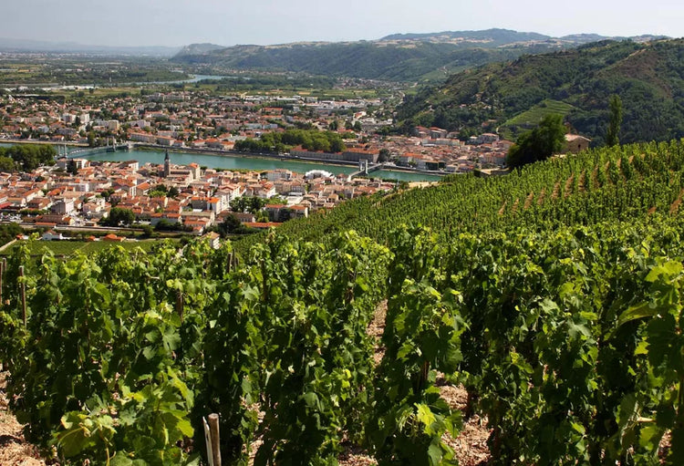 Rhone valley