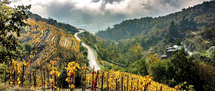 Rhone valley