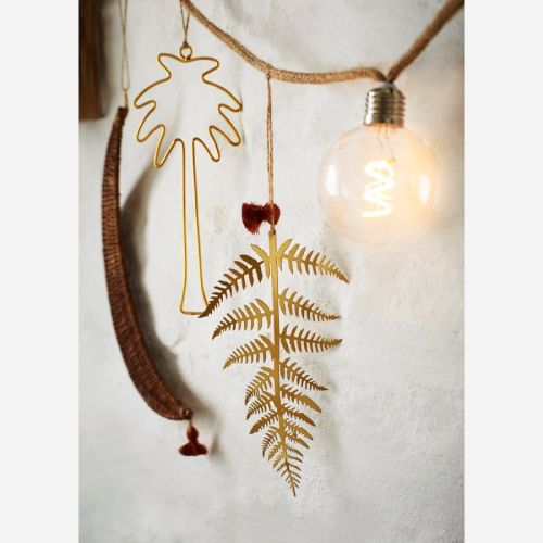 Hanging Fern