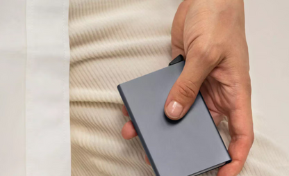 SECRID CARDPROTECTOR  TITANIUM