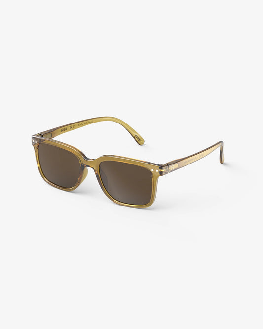 Sun #N Light Tortoise