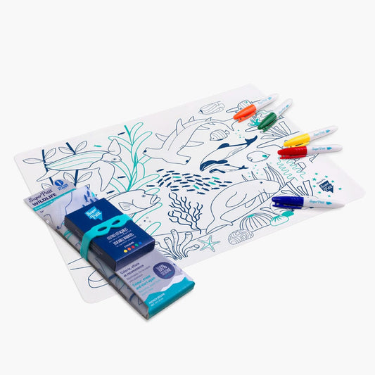 Large Drawing Kit Coral