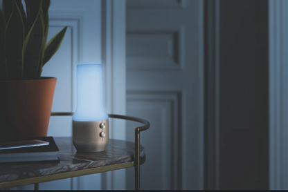 Terrace+ lights and speaker in Gun / soft gold