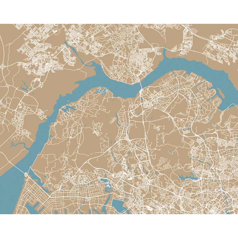 Singapore Map Bronze