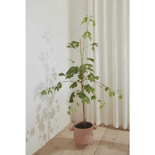 Maison Marcel Oyoy Pink Flower Pot